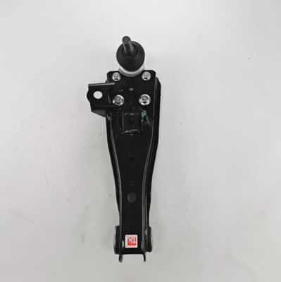 OEM Left Right Adjustable Control Arm Assy For Hyundai